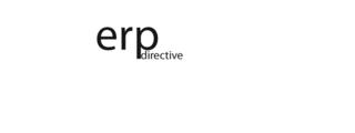 erp.jpg